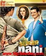 Super Nani 2014 song download